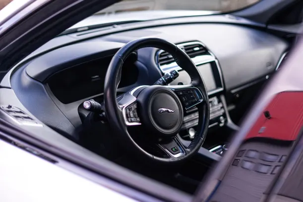 카지노 드림 베가스 안드로이드/iOS 앱